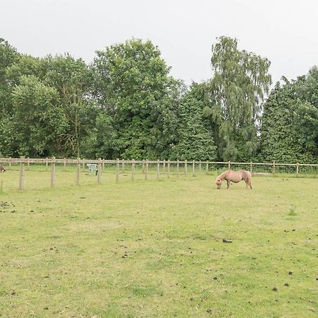 Grove Farm Bungalow With Swimming Pool, Dallinghoo ウッドブリッジ エクステリア 写真